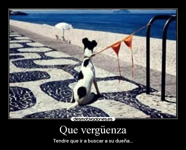 carteles perro desmotivaciones