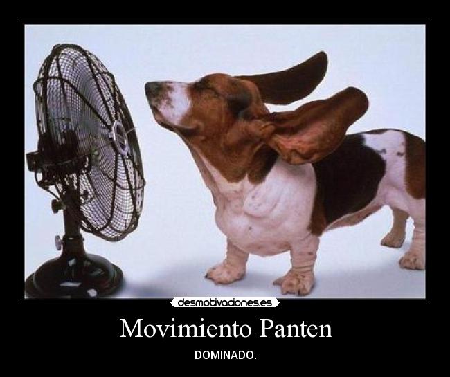 Movimiento Panten - 