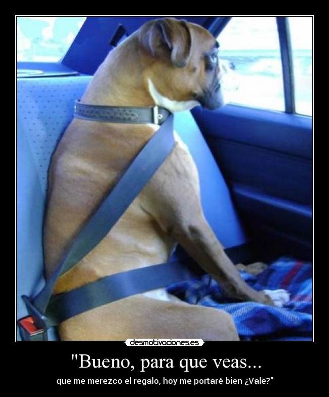 Bueno, para que veas... - que me merezco el regalo, hoy me portaré bien ¿Vale?