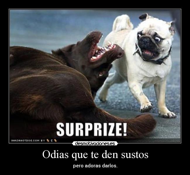 Odias que te den sustos - pero adoras darlos.