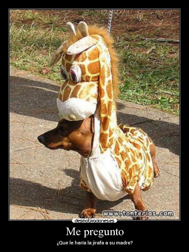 Me pregunto - ¿Que le haría la jirafa a su madre?