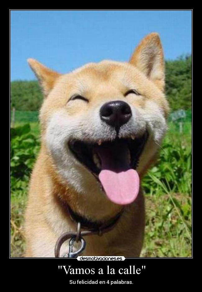 Vamos a la calle -
