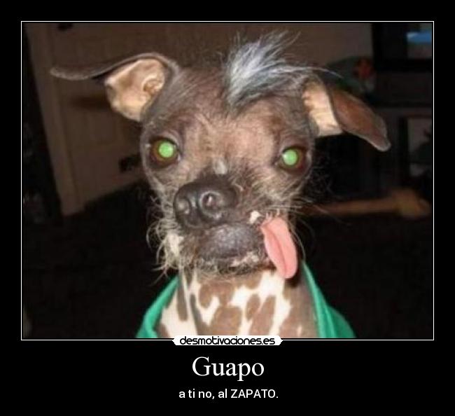 Guapo - a ti no, al ZAPATO.