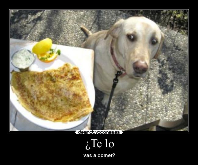 ¿Te lo - vas a comer?