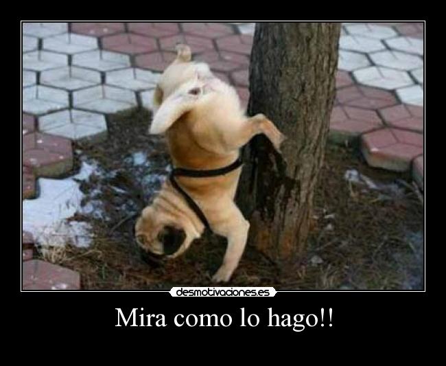 Mira como lo hago!! -