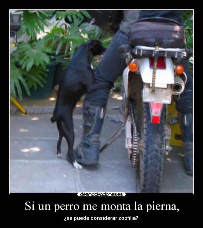 Si un perro me monta la pierna, - 