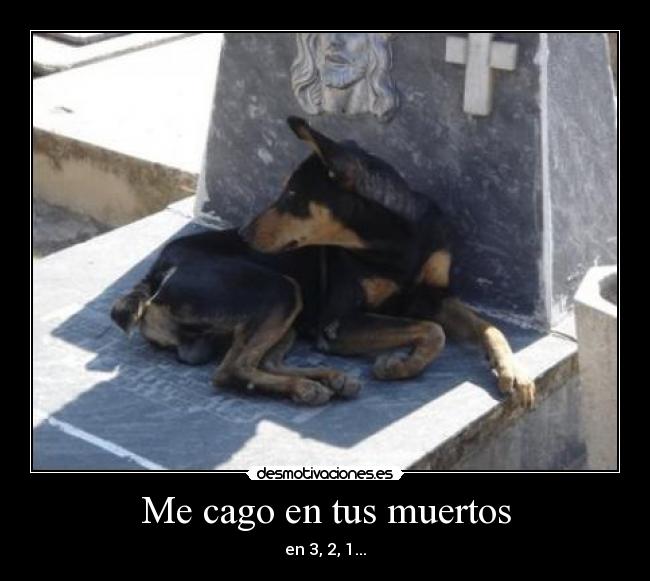 Me cago en tus muertos - 