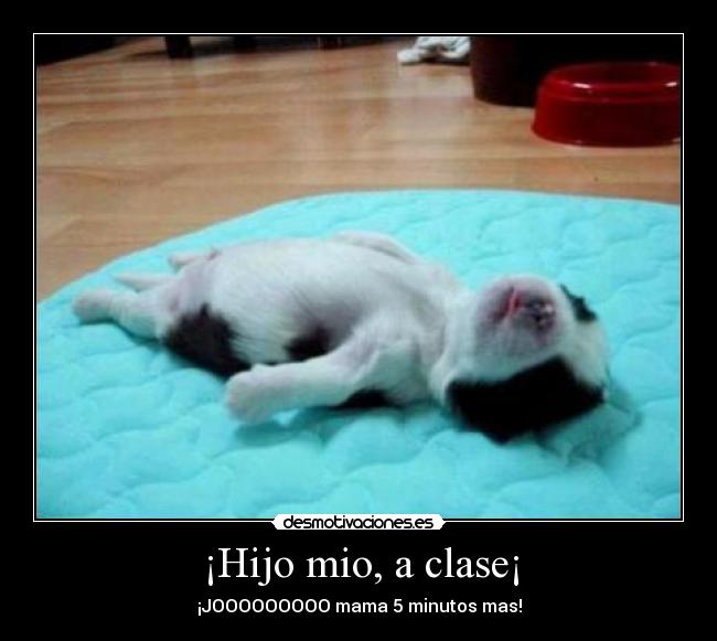 ¡Hijo mio, a clase¡ - ¡JOOOOOOOOO mama 5 minutos mas!