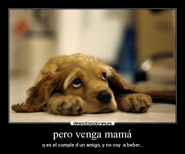 pero venga mamá - 