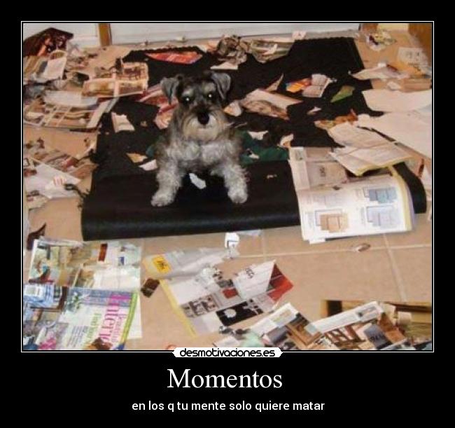 Momentos - en los q tu mente solo quiere matar