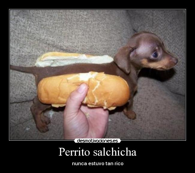 Perrito salchicha - nunca estuvo tan rico
