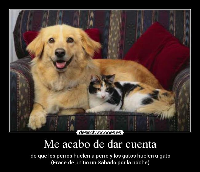 Me acabo de dar cuenta -