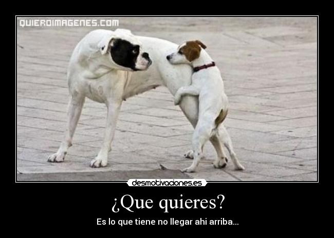 ¿Que quieres? - Es lo que tiene no llegar ahi arriba...