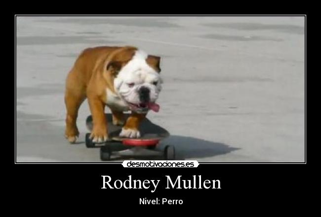 Rodney Mullen - 
