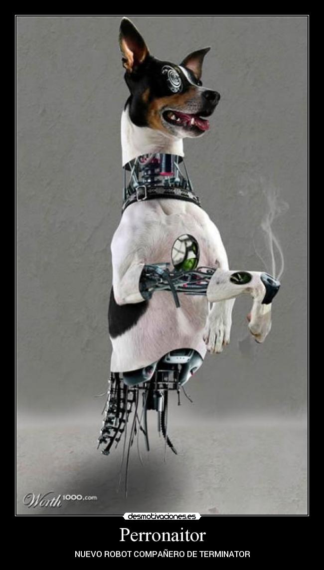 carteles perronaitor desmotivaciones