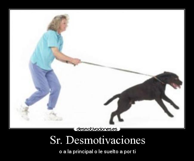 Sr. Desmotivaciones - 