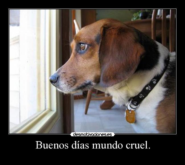 Buenos días mundo cruel. - 