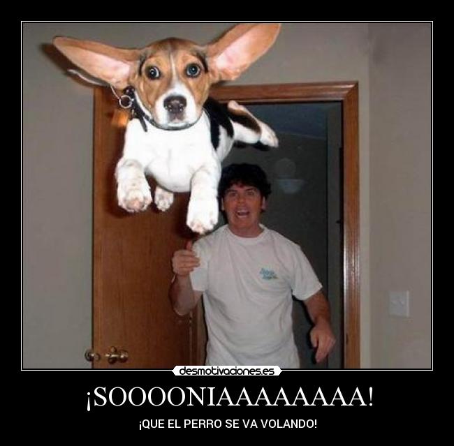 ¡SOOOONIAAAAAAAA! - 