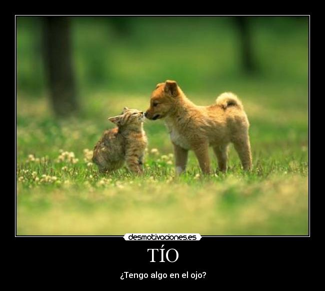 TÍO - ¿Tengo algo en el ojo?