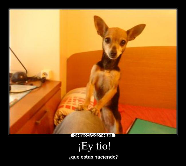 ¡Ey tio! - ¿que estas haciendo?