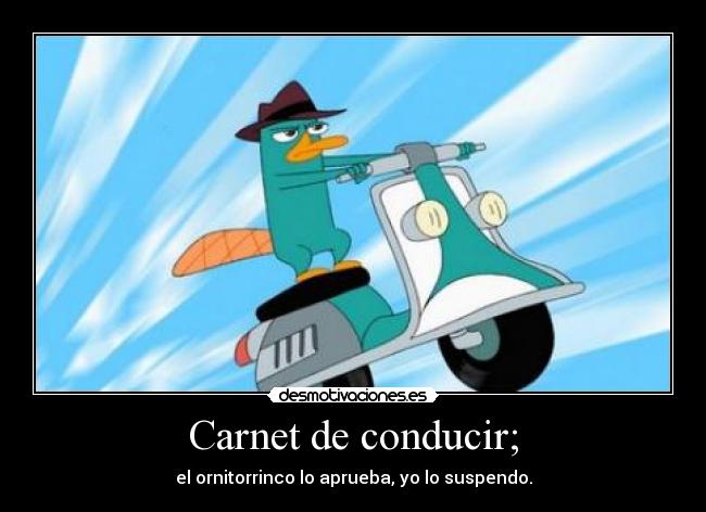 carteles carnet conducir motos incluso perry ornitorrinco tiene desmotivaciones
