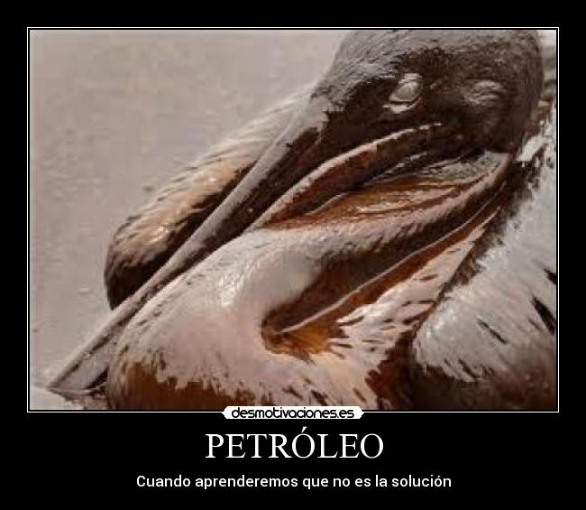 PETRÓLEO - Cuando aprenderemos que no es la solución