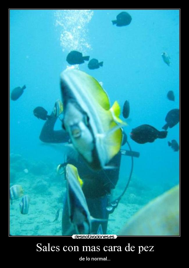 Sales con mas cara de pez - 