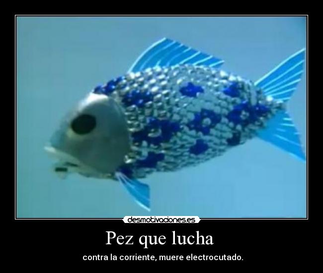 Pez que lucha  - 