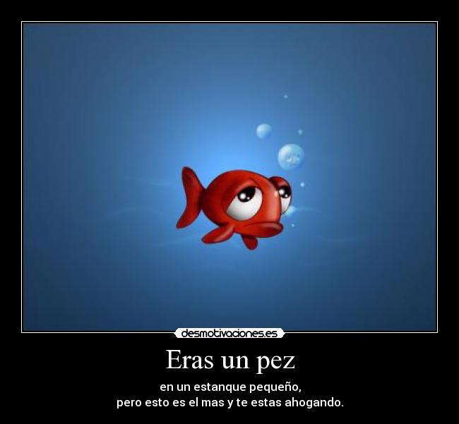 carteles maria desmotivaciones