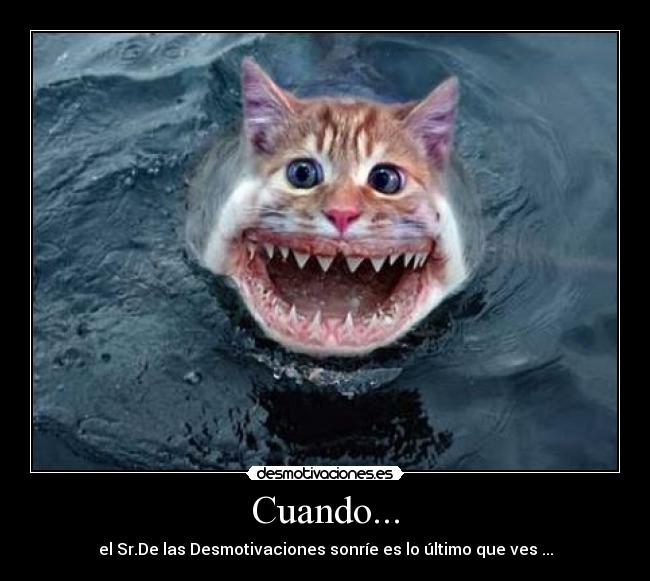Cuando... - el Sr.De las Desmotivaciones sonríe es lo último que ves ...