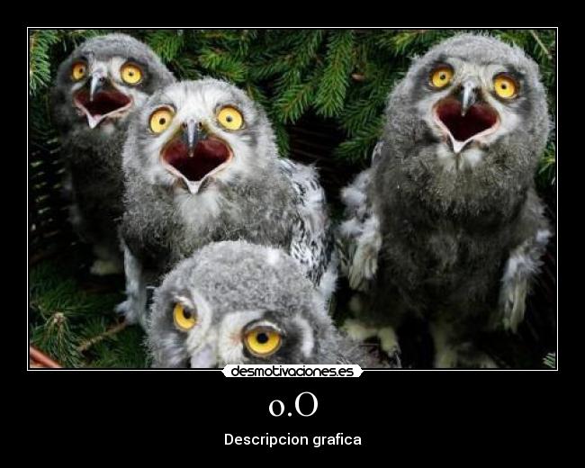 carteles oo desmotivaciones