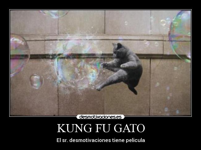 KUNG FU GATO - 