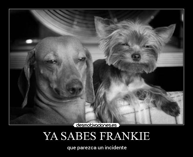 YA SABES FRANKIE -
