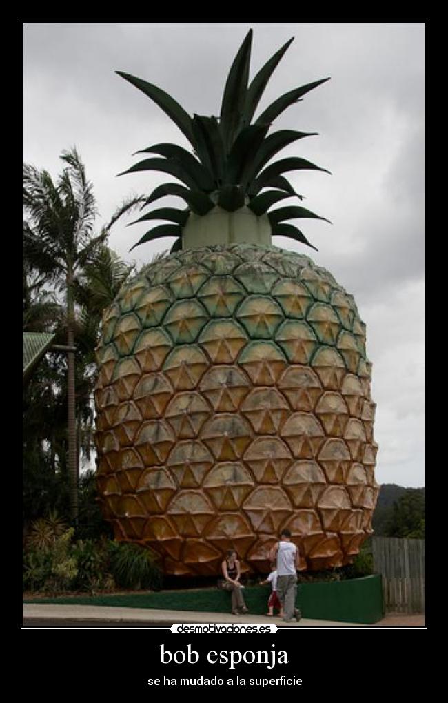 bob esponja -