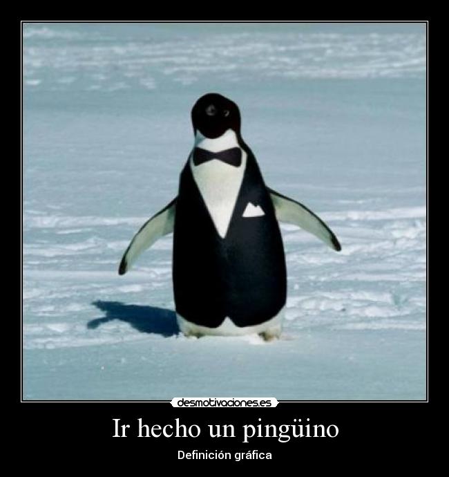 carteles pinguino traje definicion grafica desmotivaciones