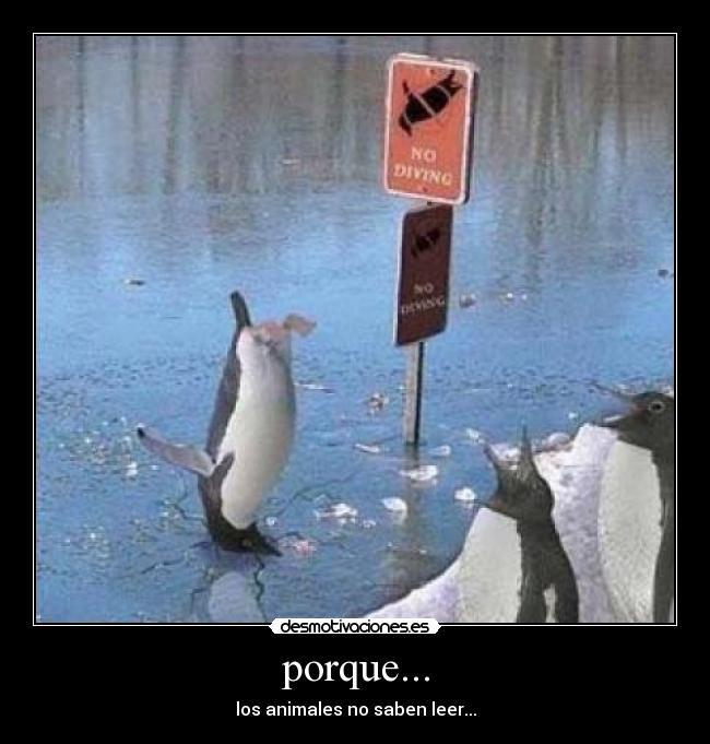 porque... - los animales no saben leer...