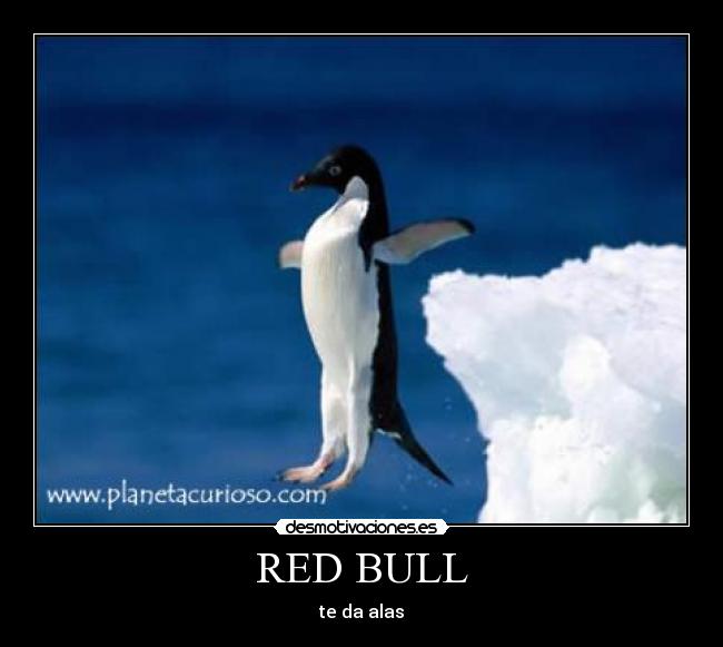 RED BULL - 