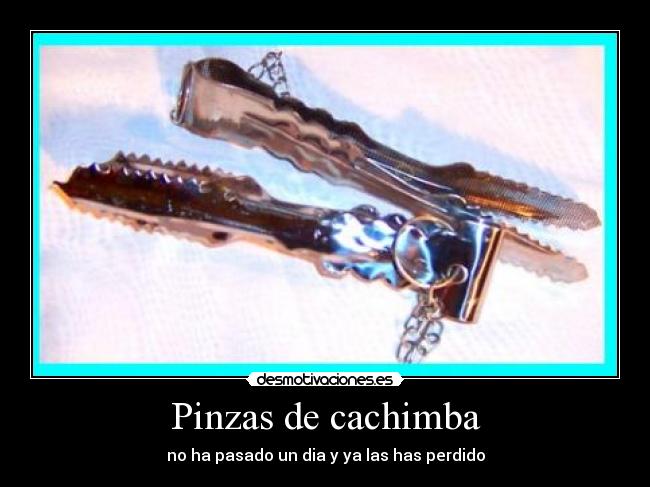 Pinzas de cachimba - 