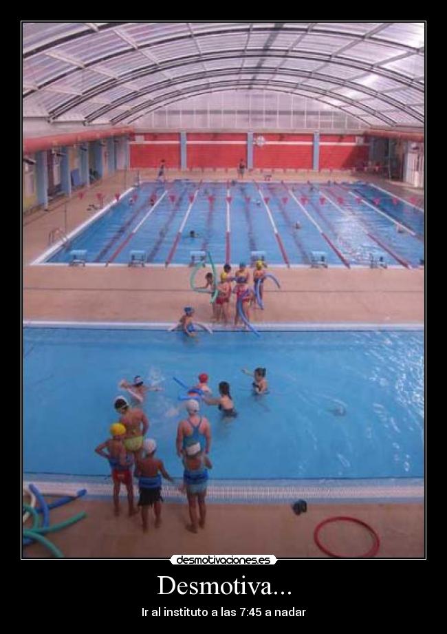 carteles piscina amoros desmotivacion desmotivaciones