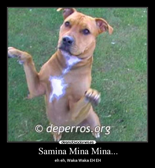 Samina Mina Mina... -