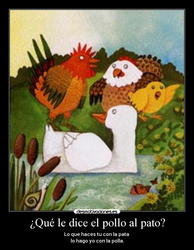 carteles chisteeee desmotivaciones