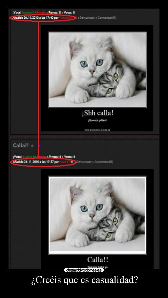 ¿Creéis que es casualidad? - 