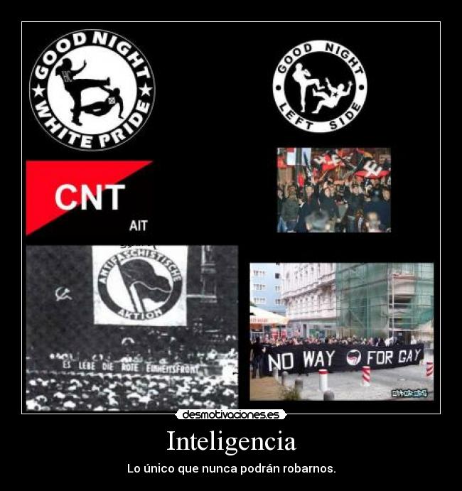 Inteligencia - Lo único que nunca podrán robarnos.