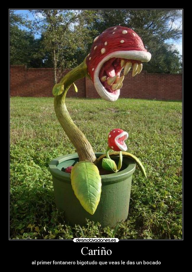 Cariño - al primer fontanero bigotudo que veas le das un bocado