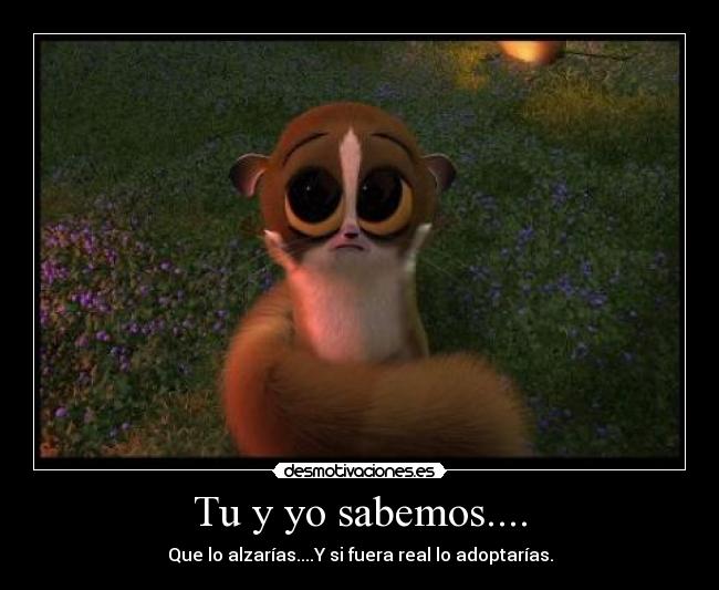 Tu y yo sabemos.... -