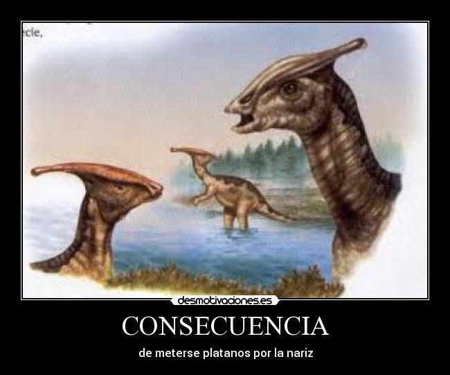 CONSECUENCIA - 