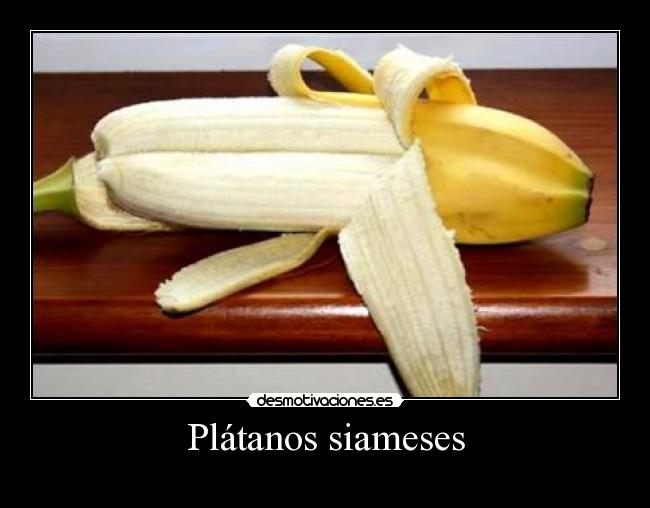 Plátanos siameses -