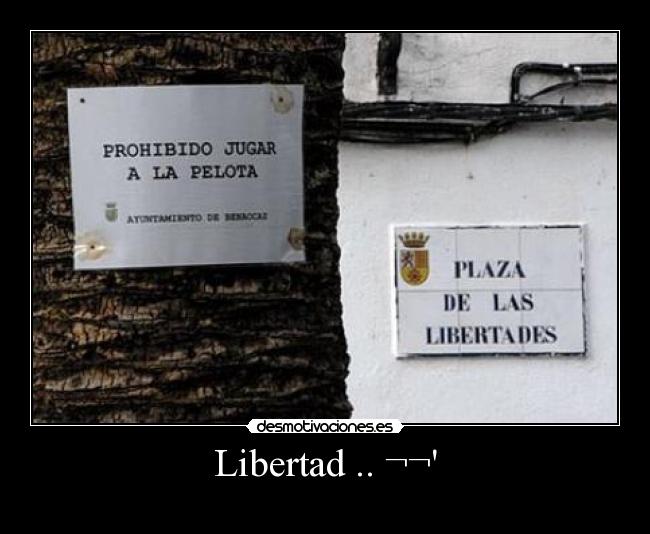 carteles libertad libertad desmotivaciones