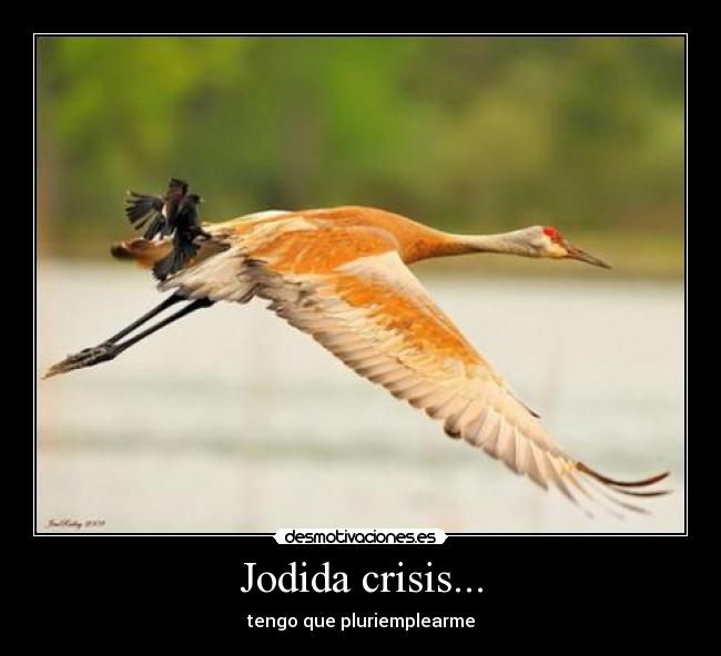 Jodida crisis... - 