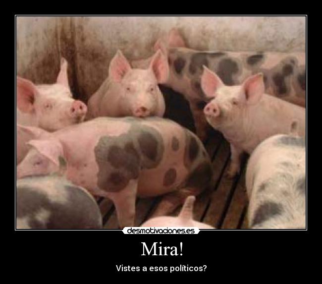 Mira! - Vistes a esos políticos?